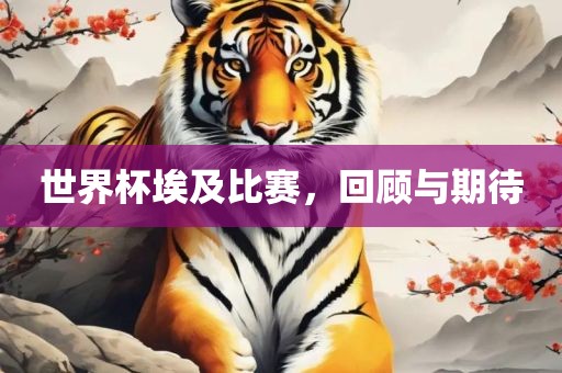 世界杯埃及比赛，回顾与期待丹东日丰电子有限公司