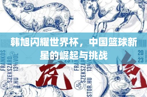 韩旭闪耀世界杯，中国篮球新星的崛起与挑战丹东日丰电子有限公司