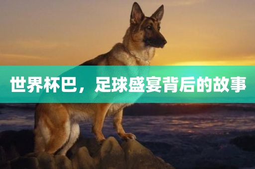 世界杯巴，足球盛宴背后的故事丹东日丰电子有限公司
