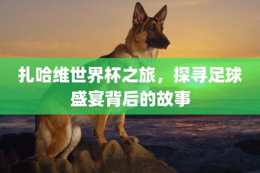 扎哈维世界杯之旅，探寻足球盛宴背后的故事丹东日丰电子有限公司
