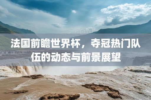 法国前瞻世界杯，夺冠热门队伍的动态与前景展望丹东日丰电子有限公司