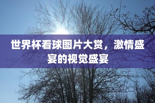 世界杯看球图片大赏，激情盛宴的视觉盛宴丹东日丰电子有限公司