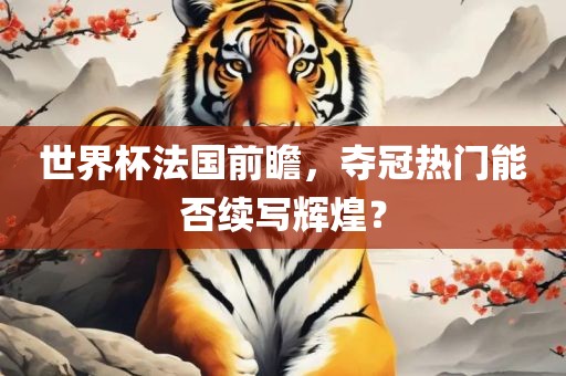 世界杯法国前瞻，夺冠热门能否续写辉煌？