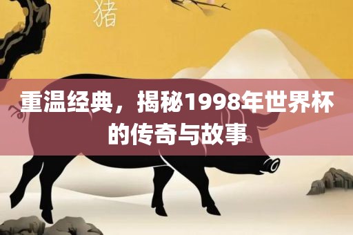 重温经典，揭秘1998年世界杯的丹东日丰电子有限公司传奇与故事