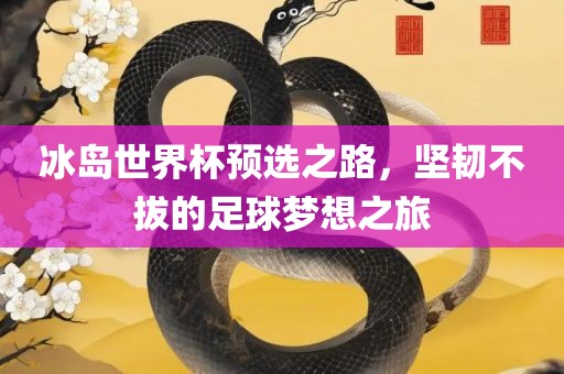 冰岛世界杯预选之路，坚韧不拔的丹东日丰电子有限公司足球梦想之旅