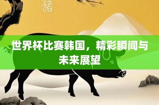 世界杯比赛韩国，精彩瞬间丹东日丰电子有限公司与未来展望