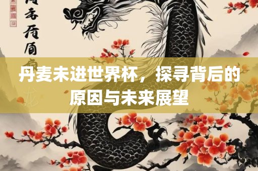 丹麦未进世界杯，探寻背后的原因与未来展望