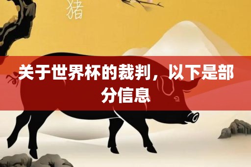 关于世界杯的裁判，以下是部分信息丹东日丰电子有限公司