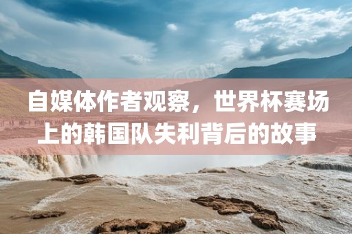 自媒体作者观察，世界杯赛场上的韩国队失利背后的故事丹东日丰电子有限公司
