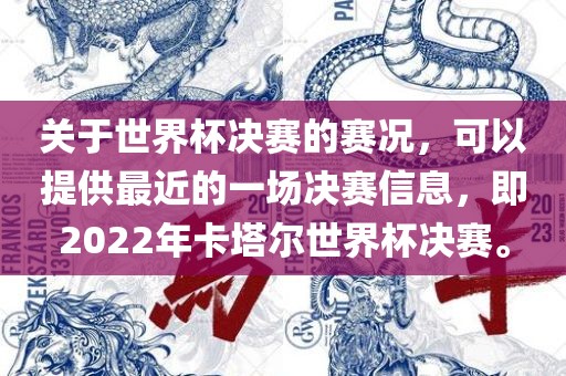 关于世界杯决赛的赛况，可以提供最近的一场决赛信息，即2022年卡塔尔世界杯决赛。