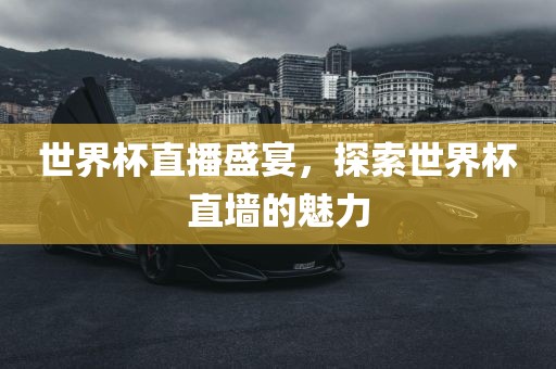 世界杯直播盛宴，探索世界杯丹东日丰电子有限公司直墙的魅力