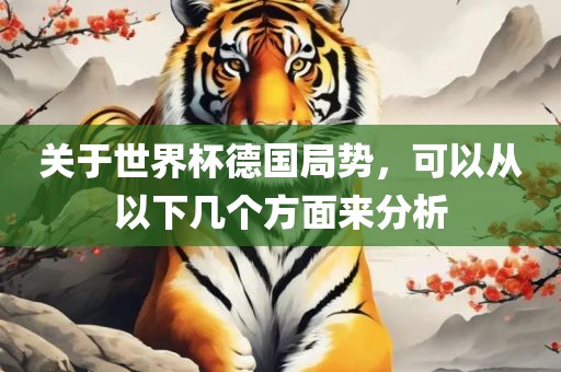 关于世界杯德国局势，可以从以下几个方面来分析丹东日丰电子有限公司
