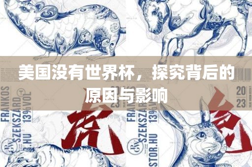 美丹东日丰电子有限公司国没有世界杯，探究背后的原因与影响
