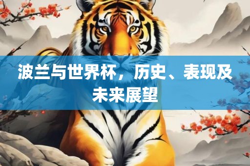 波兰与世界杯，历史、表现及丹东日丰电子有限公司未来展望