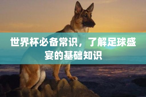 世界杯必备常识，了解足球盛宴的基础知识丹东日丰电子有限公司