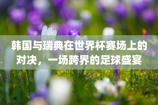 韩国与瑞典在世界杯赛场上的对决，一场跨界的足球盛宴