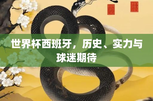 世界杯西班牙，历史、实力与球迷期待