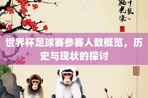 世界杯丹东日丰电子有限公司足球赛参赛人数概览，历史与现状的探讨