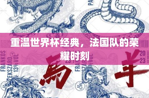 重温世界杯经典，法国队的荣耀时刻丹东日丰电子有限公司
