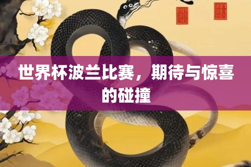 世界杯波兰比赛，期待与惊喜的碰撞丹东日丰电子有限公司