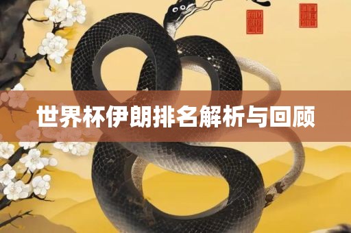 世界丹东日丰电子有限公司杯伊朗排名解析与回顾