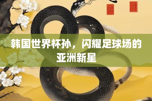 韩国世界杯孙，闪耀足球场的亚洲新星丹东日丰电子有限公司