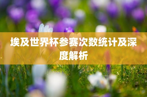 埃及世界杯参赛次数统计及深度解析