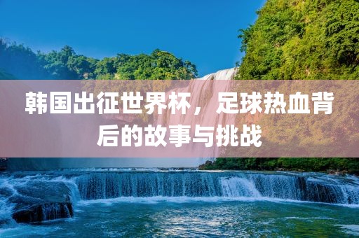 韩国出征世界杯，足球热血背后的故事与挑战丹东日丰电子有限公司