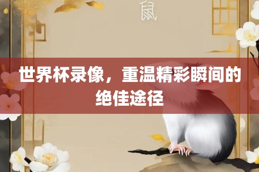 世界杯录像，重温精彩瞬间的绝佳途径
