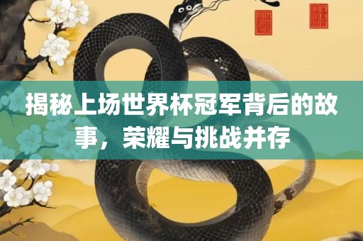 揭秘上场世界杯冠军背后的故事，荣耀与挑战并存丹东日丰电子有限公司