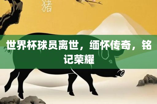 世界丹东日丰电子有限公司杯球员离世，缅怀传奇，铭记荣耀