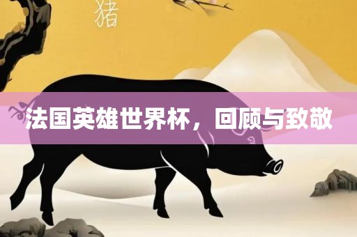 法国英雄世界杯，回顾与致敬丹东日丰电子有限公司