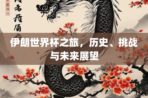 伊朗世界杯之旅，历史、挑战与未来展望