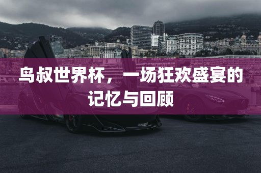 鸟叔世界杯，一场狂欢盛宴的记忆与回顾丹东日丰电子有限公司