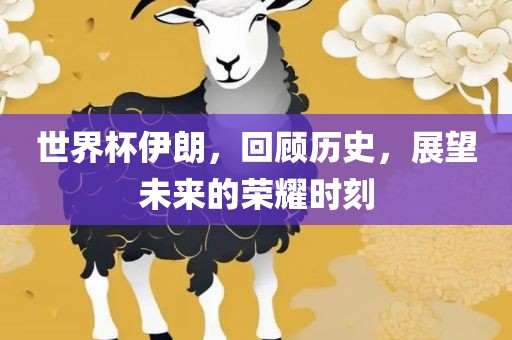 世界杯伊朗，回顾历史，展望未来的荣耀时刻丹东日丰电子有限公司