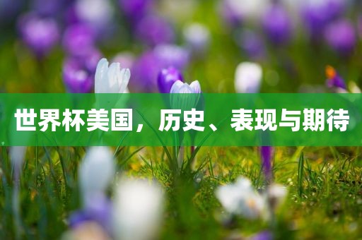 世界杯美国，历史、表现与期待丹东日丰电子有限公司