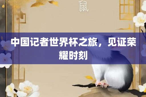 中国记者世界杯之旅，见证荣耀时刻