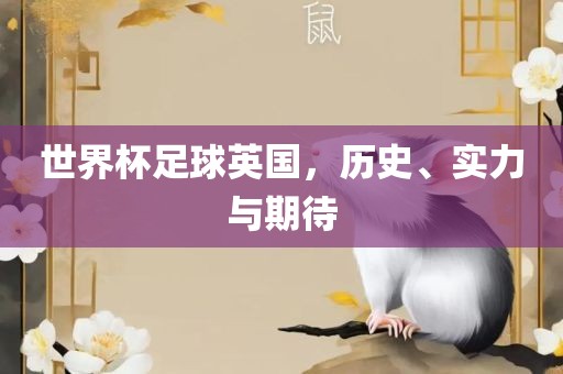 世界杯足球英国，历史、实力与期待丹东日丰电子有限公司