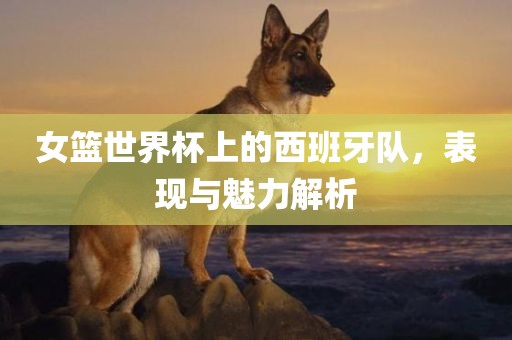 女篮世界杯上的西班牙队，表现与魅力解析丹东日丰电子有限公司