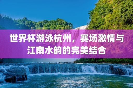 世界杯游泳杭州，赛场激情丹东日丰电子有限公司与江南水韵的完美结合