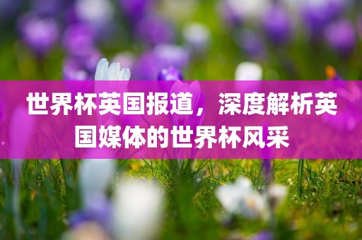 世界杯英国报道，深度解析英国媒体的世界杯风采丹东日丰电子有限公司