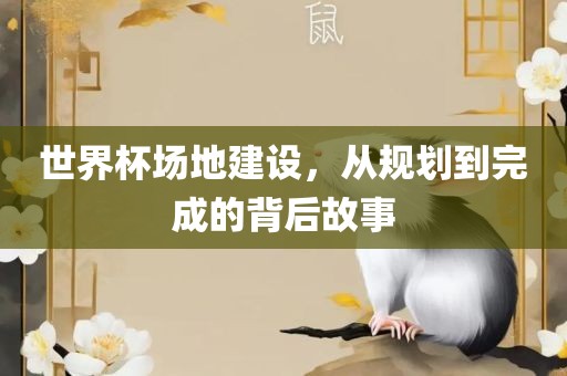 世界杯场地建设，从规划到完成的背后故事