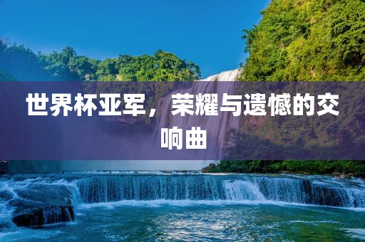 世界杯亚军，荣耀与遗憾的交响曲丹东日丰电子有限公司