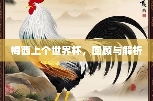 梅西上个世界杯，回顾与解析