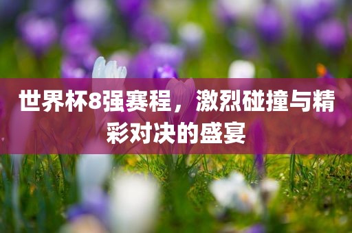 世界杯8强赛程，激烈碰撞与精彩对决的盛宴丹东日丰电子有限公司