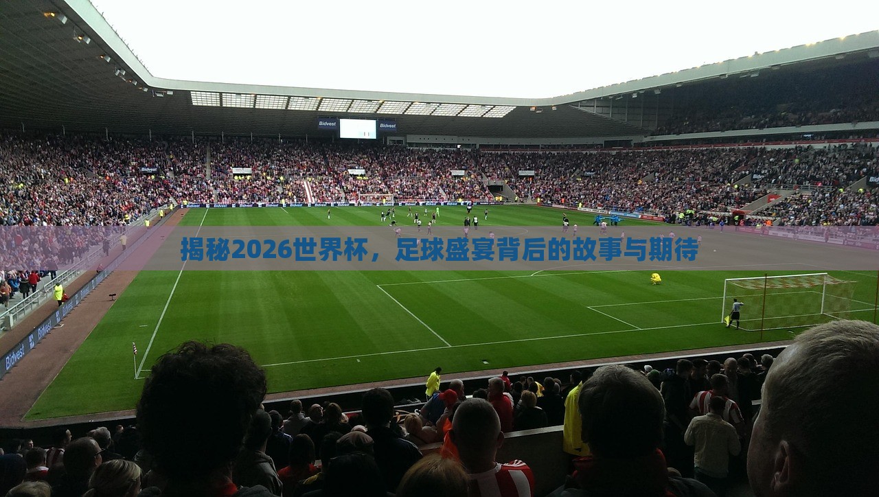 揭秘2026世界杯，足球盛宴背后的故事与期待丹东日丰电子有限公司